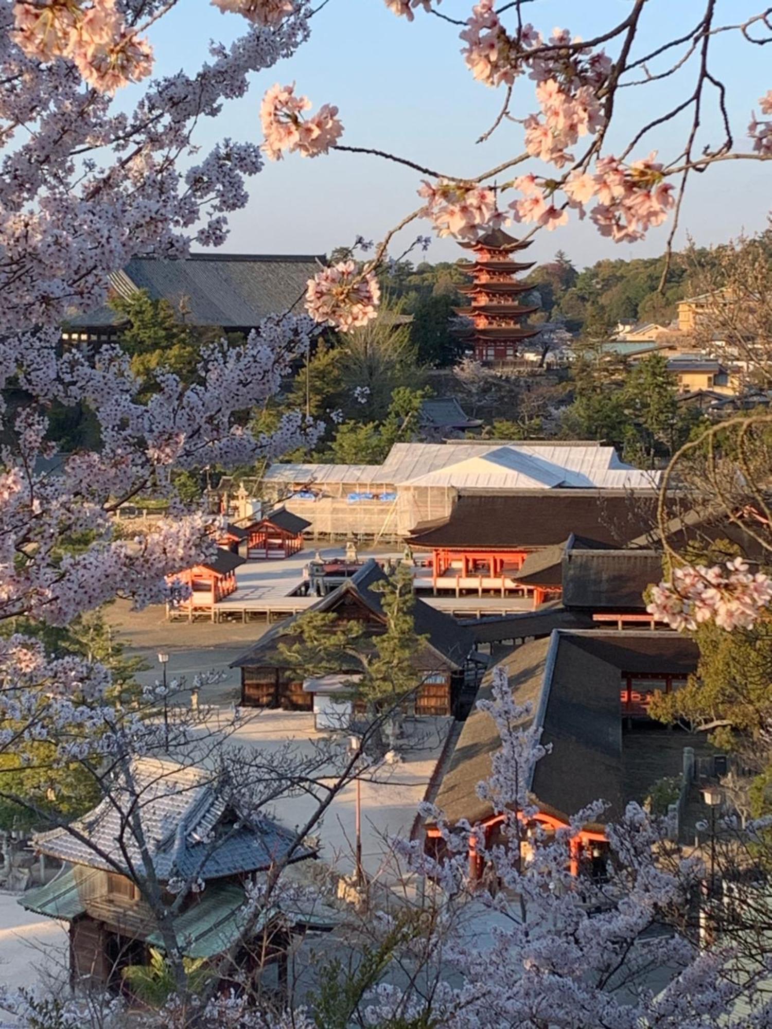 宮島 町家宿 進龍庵 하쓰카이치 외부 사진