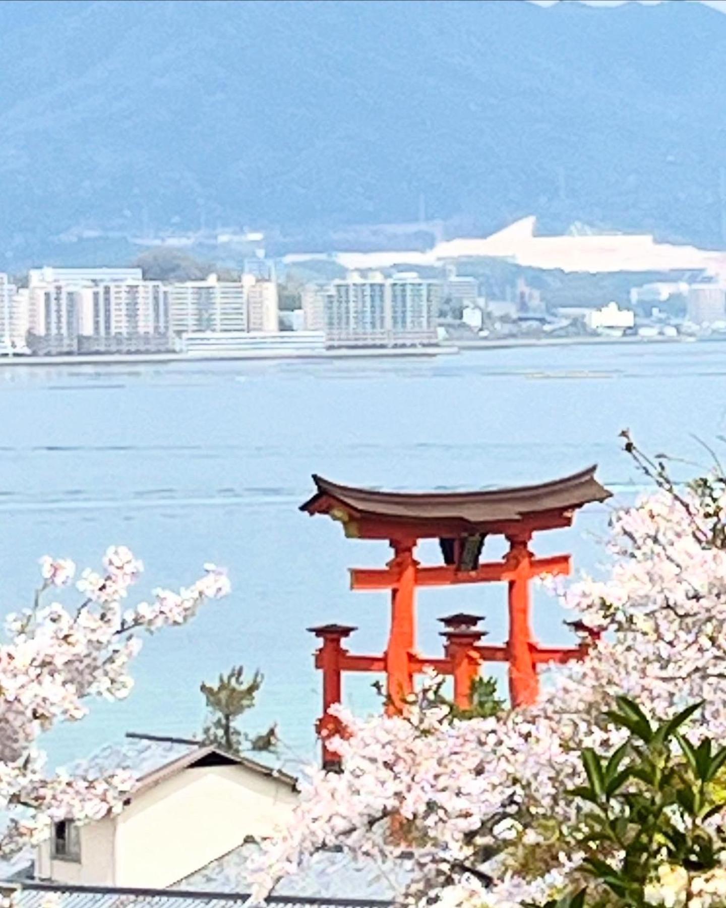 宮島 町家宿 進龍庵 하쓰카이치 외부 사진